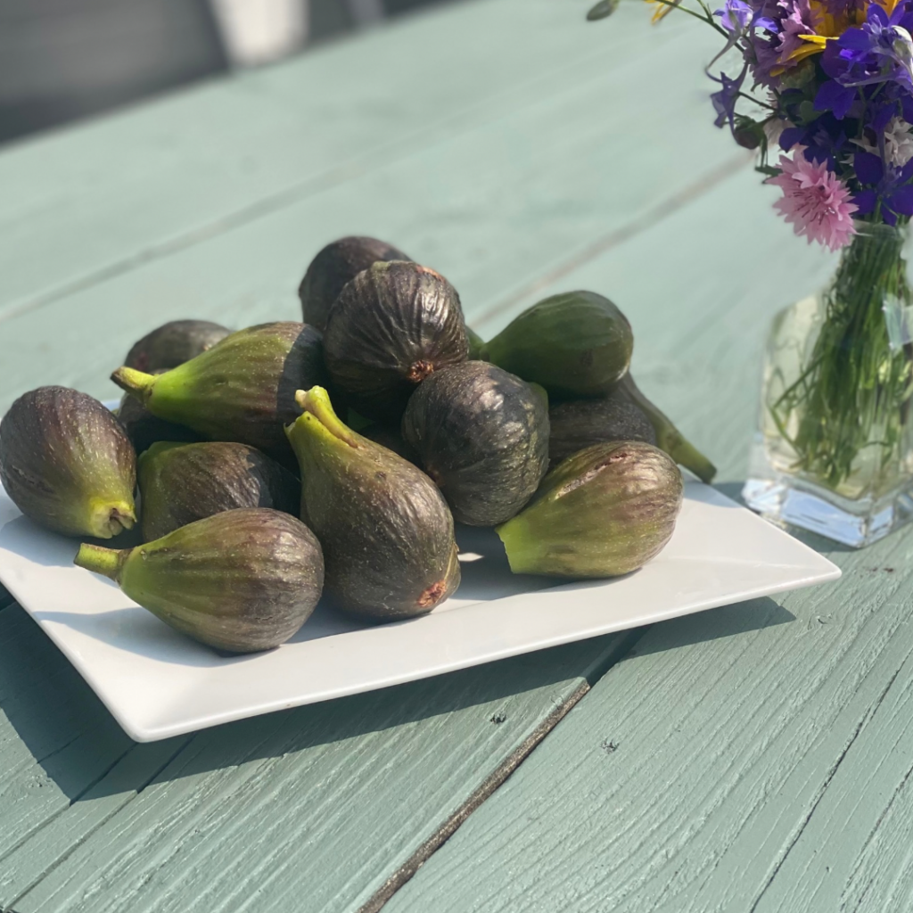 Vijgen uit de tuin